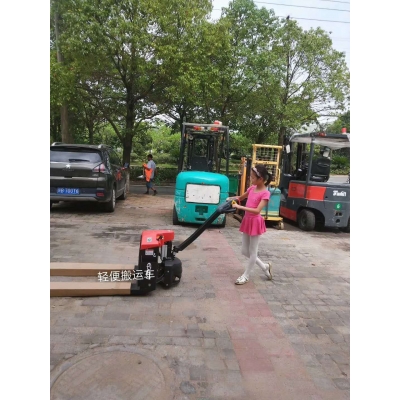 電動(dòng)搬運(yùn)車(chē)